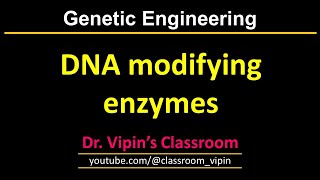 GE3 - DNA modifying enzymes