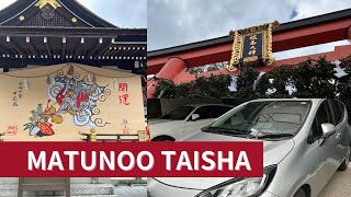 【京都最古の神社】太陽の光・京都 松尾大社 霊亀の滝⛩️見るだけで浄化・開運エネルギー/パワースポット