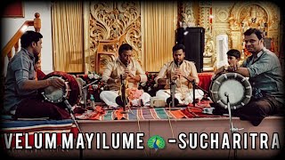 Velum mayilume🦚- Sucharita ragam🔥/KoteswarIyer by |k.durgaprasad nadaswaram|| srikalahasti