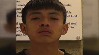 Police: Teen facing 44 felony charges 'a menace to society'