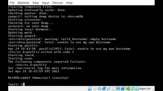 Booting NetBSD 9.1 and Starting X in VirtualBox on Windows 10