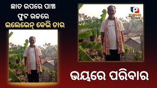 ଛାତ ଉପରେ ପାଞ୍ଚ ଫୁଟ ଉଚ୍ଚରେ ଇଲେଭେନ୍ କେଭି ବିଦ୍ୟୁତ ତାର |#Nayagarh