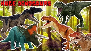 Huge  Jurassic Mattel Collection Dinosaurs  : T-Rex , Allosaurus , Herrerasaurus , Pteranodon ...