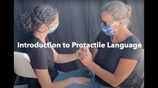 Introduction to Protactile Language