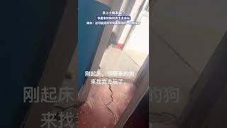 早上小狗來串門 鄰居家的狗找男生出去玩 網友：這可能是妳交到最單純的一位朋友了 #shorts #萌宠