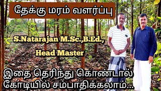 தேக்கு மரம் வளர்ப்பு மற்றும் பராமரிப்பு | Teak Tree Cultivation in Tamil | Teak wood in tamil