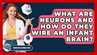 What Are Neurons And How Do They Wire An Infant Brain? - Brain Development Hub