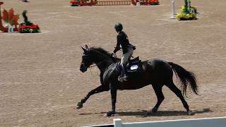 All Black Cadillac $3000 JR/AM 1.10 Stakes Class Clear Round