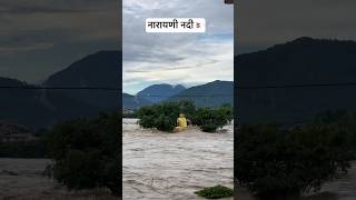 नारायणी नदीको ताजा अवस्था 💔 #narayaniriver #chitwan #ytshorts