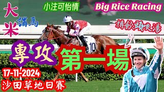 香港賽馬 專攻第一場 17-11-2024 沙田草地日賽 (全場分析拆局，是次策略: WP馬胆一拖二) #大米三台