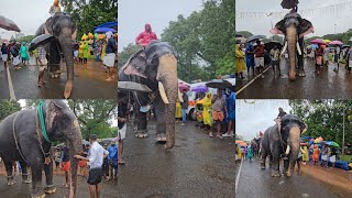 വടക്കുംനാഥൻ ഊട്ട് 2024 പേപ്പറും കാര്യങ്ങളും ചെക്ക് ചെയ്ത്  ഉള്ളിൽ കയറാൻ കാത്ത്നിൽക്കുന്ന ഗജവീരന്മാർ