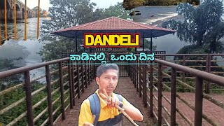 #dandeli | ದಾಂಡೇಲಿಯಲ್ಲಿ ಒಂದು ದಿನ | ದಾಂಡೇಲಿಯಲ್ಲಿ ಕಾಡುಪ್ರಾಣಿಗಳು | Dandeli tourism | Dandeli Safari |