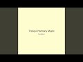 Tranquil Harmony Mystic