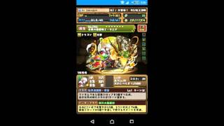 【パズドラ】2016/02/07 たまドラベビーの覚醒確率 (101体)