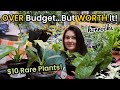 $10 Rare Plants! OVER Budget...But WORTH It! Plant Shopping & Plant Haul Horrock's Nursery