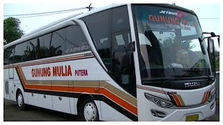 Bus ISUZU Jarang2 PO GUNUNG MULIA Pake dan keren..!!