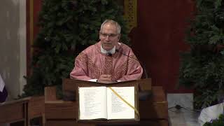 Third Sunday of Advent (Year B) - Fr. Hahn