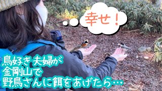 【夫婦登山切り抜き】冬の金剛山で念願の野鳥さんに餌やり！手に乗ってくれたよ！【ヤマガラ・コガラ】