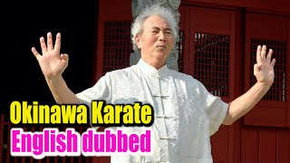Take one shot! Okinawa Karate Master's Amazing skills!【English dubbed 】
