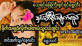 ကလေးတွေရဲ့ဘဝကိုကယ်တင်ခဲ့တဲ့သူငယ်ချင်းသုံးဦး#starစတားchannel #audiobook #naylin #နေလင်း