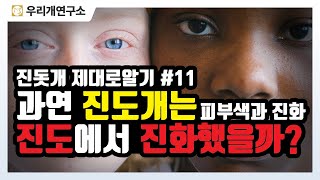 진돗개 제대로 알기 11 - 진도개는 과연 진도에서 진화 했을까? 피부색과 진화 #우리개연구소 #진도개 #토종개 #진돗개