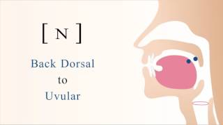 [ ɴ ] voiced back dorsal uvular nasal stop