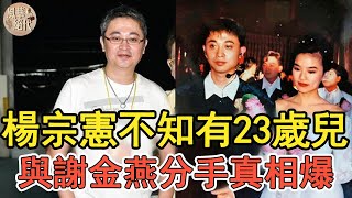 楊宗憲不知自己有23歲兒，當年與謝金燕分手真相曝光，難怪這麼多年不讓孩子認祖歸宗#楊宗憲#謝金燕#豬哥亮#風華絕代