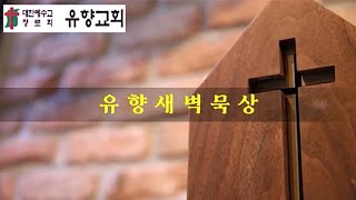 유향새벽묵상 2022년02월04일(금) 이준배 목사 (잠 19: 21 주의 뜻에 맞추게 하소서 !)