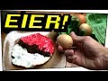 4 COOLE TRICKS MIT EIERN - Experimente zum nachmachen #90