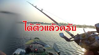 พายเรือคายัค (lure11.5) ตกชะโดยักษ์ หนองหมาจอก 1 ใน 1,000 มาดูกันครับว่าได้ตัวได้ยังไง???