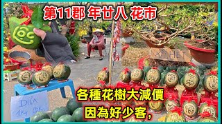 第11郡 年廿八 花市 各種花樹大減價 因為好少客， 各種花樹大減價 ，越南胡志明市。粵語 SAIGON QUAN11