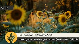 එක් අයෙකුගේ ප්‍රේක්‍ෂකාගාරයක්