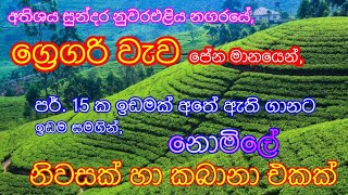 Valuable land in Nuwara eliya. | Ceylon Ads | #ceylonads