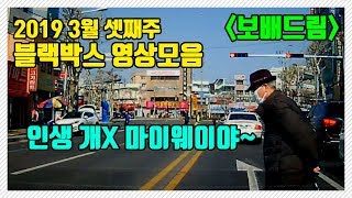 정말 욕이 안 나올 수가 없네..(2019.03 셋째주) 블랙박스영상 모음