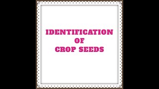 Identification of crop seeds