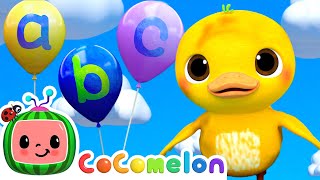 ABC's and Ducks! | Learning ABC and Animals | Hide & Seek | CoComelon Nursery Rhymes & Kids Songs