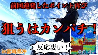 狙うはカンパチ！オフショアジギングin宮崎県沖