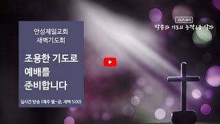 2025년 02월 13일(목) 안성제일감리교회 새벽기도회