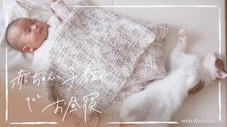 【癒やし】赤ちゃんと子猫のお昼寝をただ眺める動画　その２