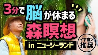 【ASMR】３分で脳が休まる森瞑想！脳がとろけるニュージーランドの自然音でヒーリング