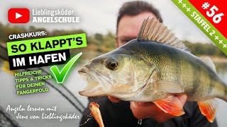 So fängst du große BARSCHE im HAFEN 🎣🤩👍