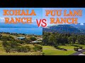 Big Island Neighborhoods Pros and Cons~Puu Lani Ranch vs Kohala Ranch