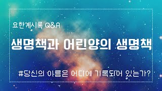 [성경궁금증] 생명책과 어린양의 생명책_내 이름은 어디에 기록되었나?_요한계시록 공부