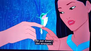 Flit doesn't like john smith