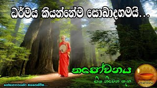 මෙහෙනින් වහන්සේලා අතරත් ධර්මය පිබිදෙයි#Thapowanaya සිත නිවෙන තැන.🏵