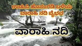 ವಾರಾಹಿ ನದಿ | ಹೊಸಗಂಡಿ ಕಣಿವೆ | ಕರುನಾಡು ಸ್ವರ್ಗದ ಗೂಡು| ಸಹಜ ನಿಸರ್ಗ ಉಳಿಸಿದವರು | Ekamukha | ಏಕಮುಖ | ಸಂರಾನ್