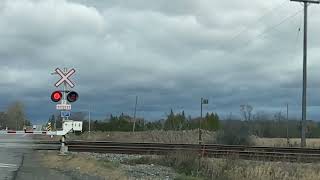 CN executive train P623 at Mi 184 Kingston Sub - Nov. 7, 2023