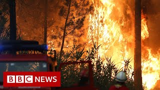 Europe heatwave fuels wildfires in Portugal, France and Spain - BBC News