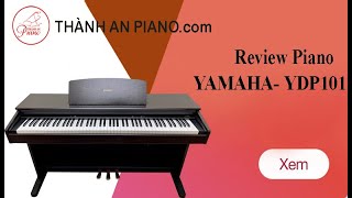 ✅ Đàn Piano Điện Yamaha YDP101