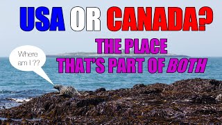 Machias Seal Island is part of both US AND Canada. It's a border dispute we've never agreed on!